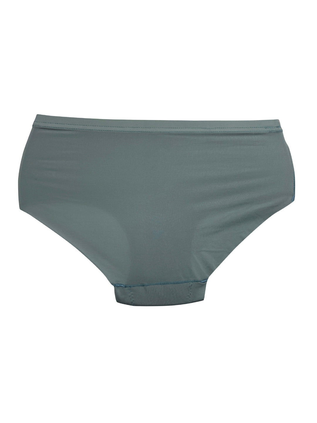 2PK No VPL Microfibre Full Seamless Briefs
