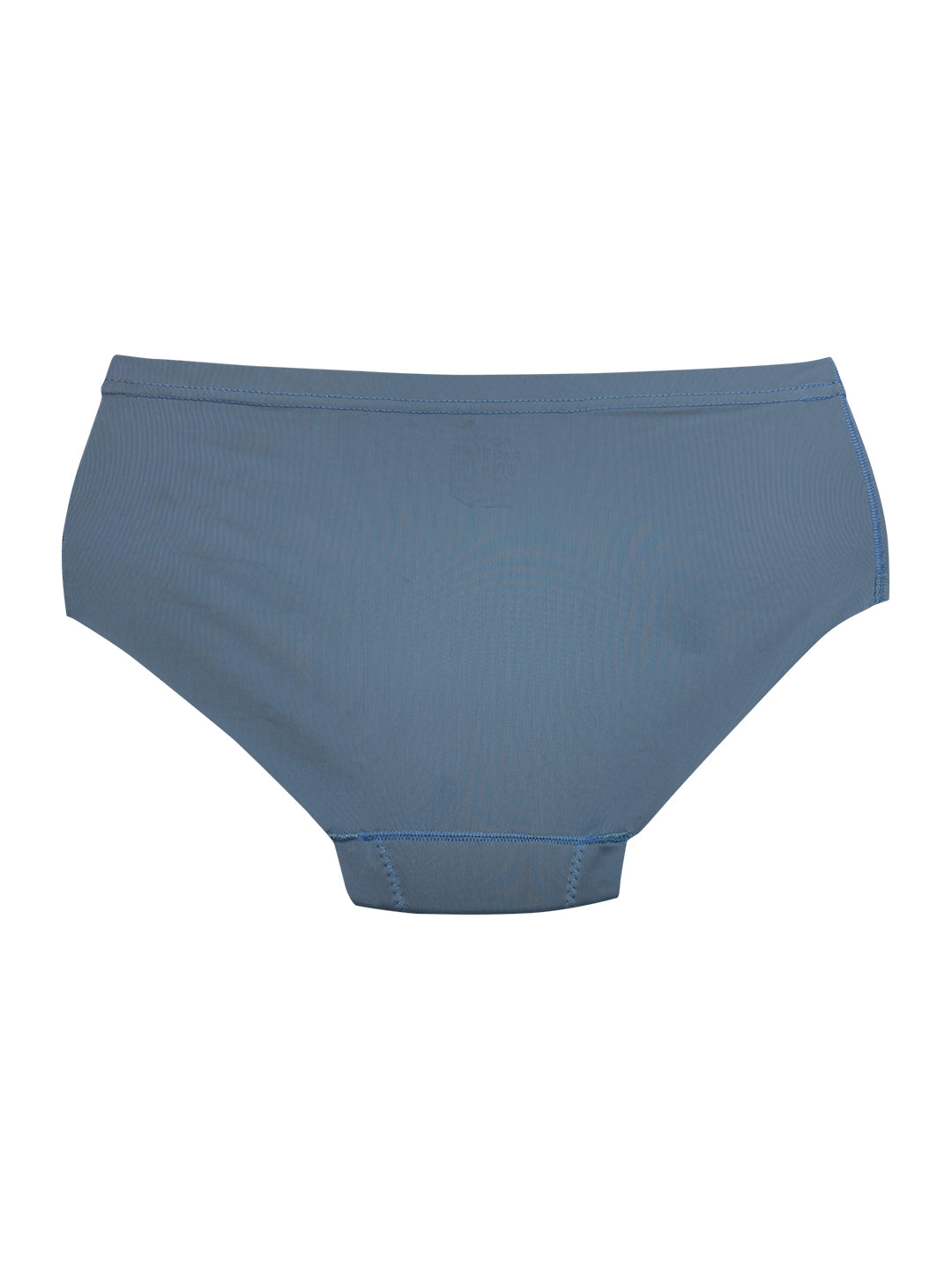 2PK No VPL Microfibre Full Seamless Briefs