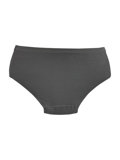 POOJA RAGENEE Women's Seamless Regular Lycra Panty PQ5033 Black-Brown-Grey