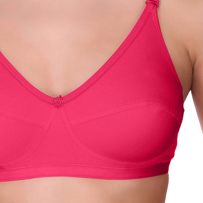 Pooja Ragenee Light Pad Cotton Regular bra for Women Magenta